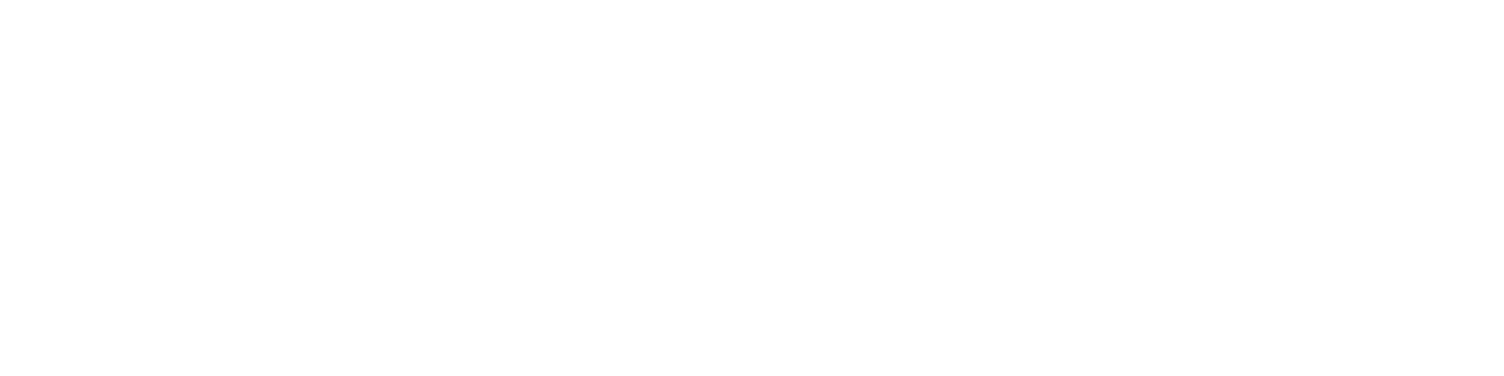 Peugeot vanbussel